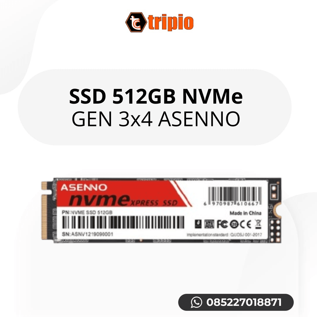 SSD Asenno 512GB NVMe Gen 3x4 M.2 di Tripio Computer